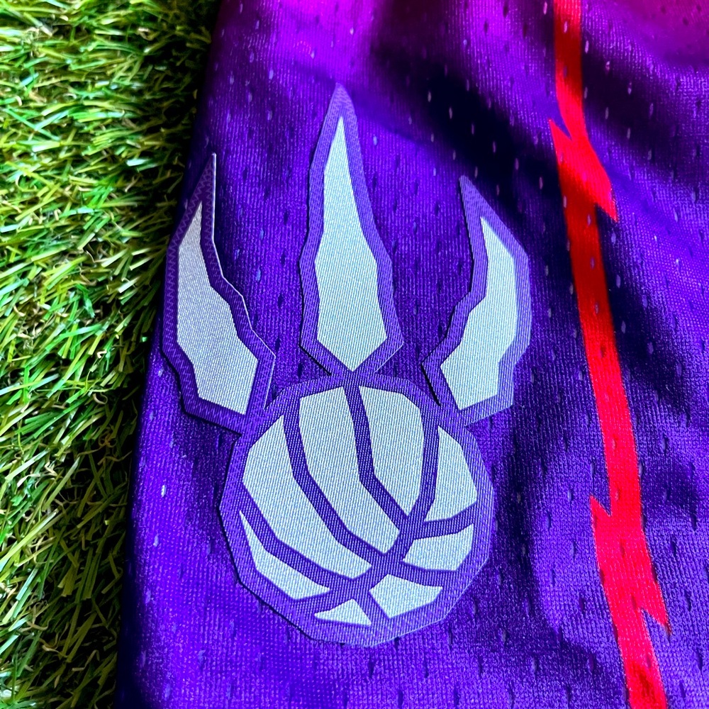 Mitchell & Ness Toronto Raptors Basketball Shorts